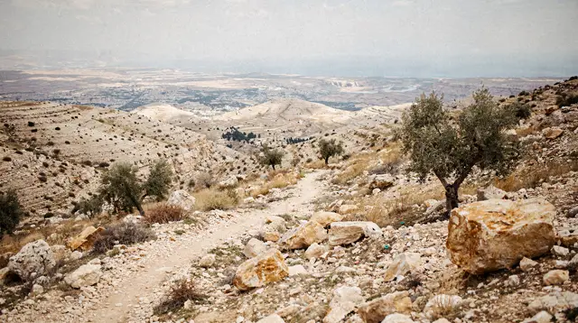 Center Jordan
